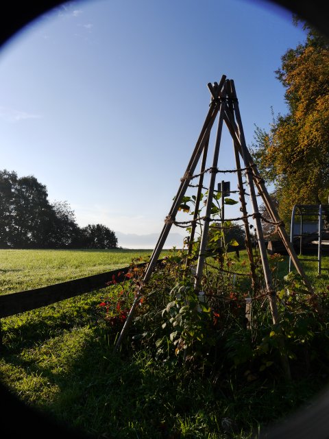 Grossansicht in neuem Fenster: Beerentipi Schule Höslwang Grossansicht in neuem Fenster: Beerentipi Schule Höslwang